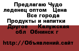 Предлагаю Чудо леденец оптом › Цена ­ 200 - Все города Продукты и напитки » Другое   . Калужская обл.,Обнинск г.
